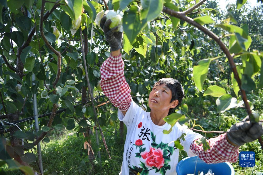 大发国际登录入口